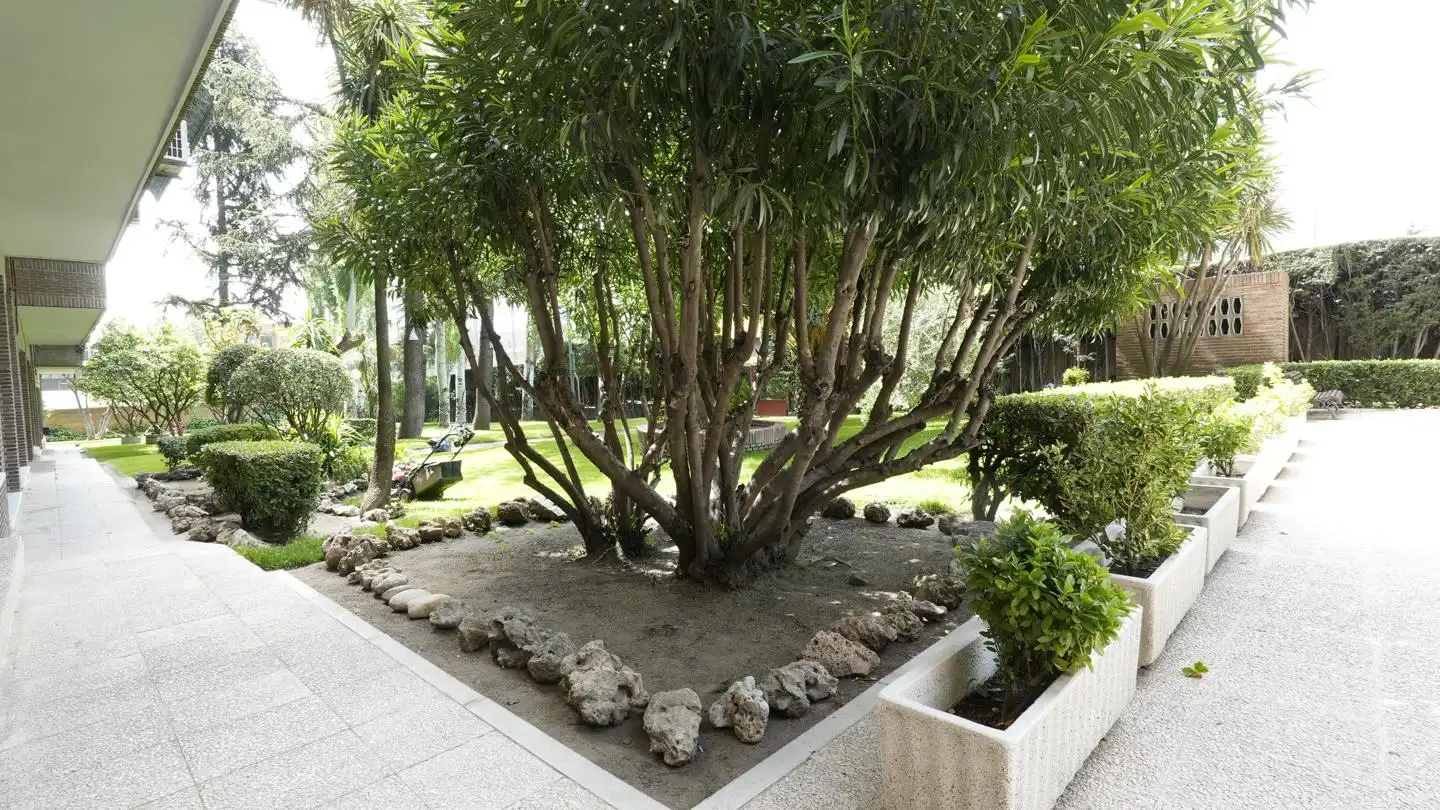 Jardí de Pis en venda en Madrid amb Aire condicionat, Calefacció i Terrassa