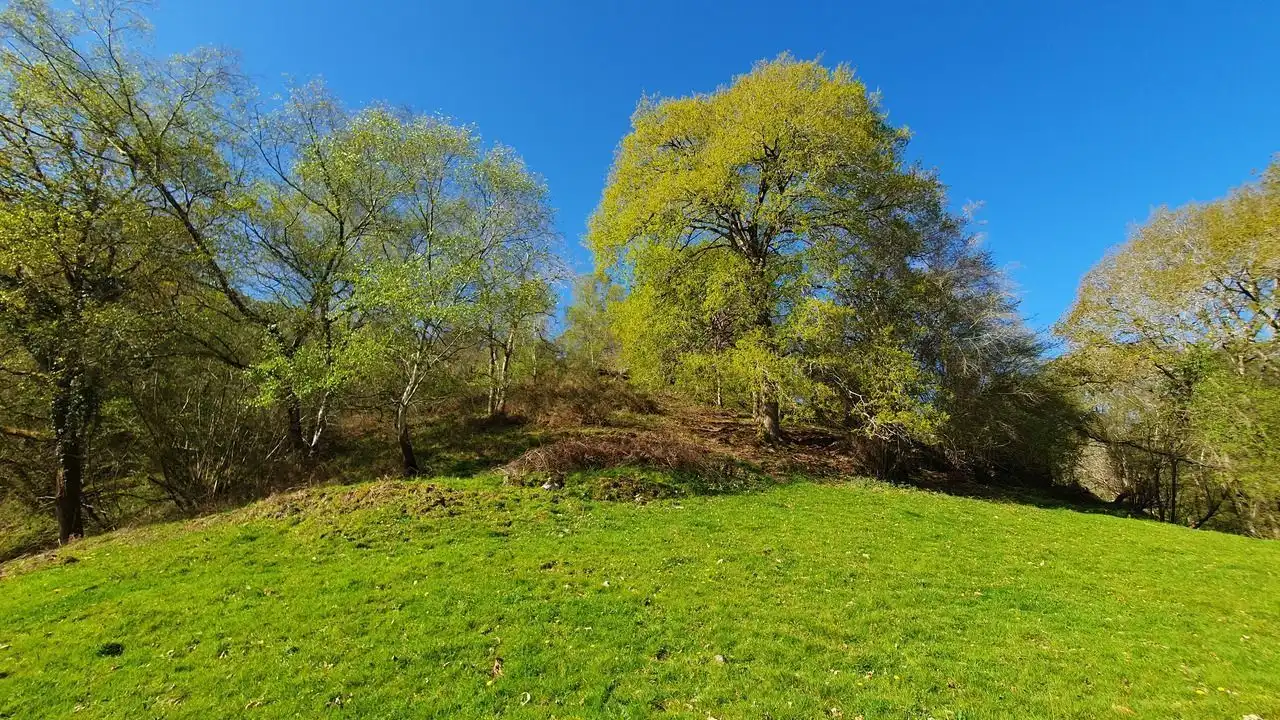 Finca rústica en venta en Llanes