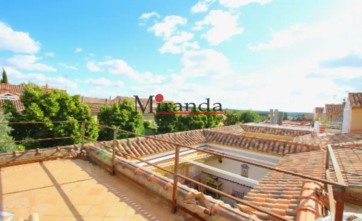 Houses for rent in Centro
