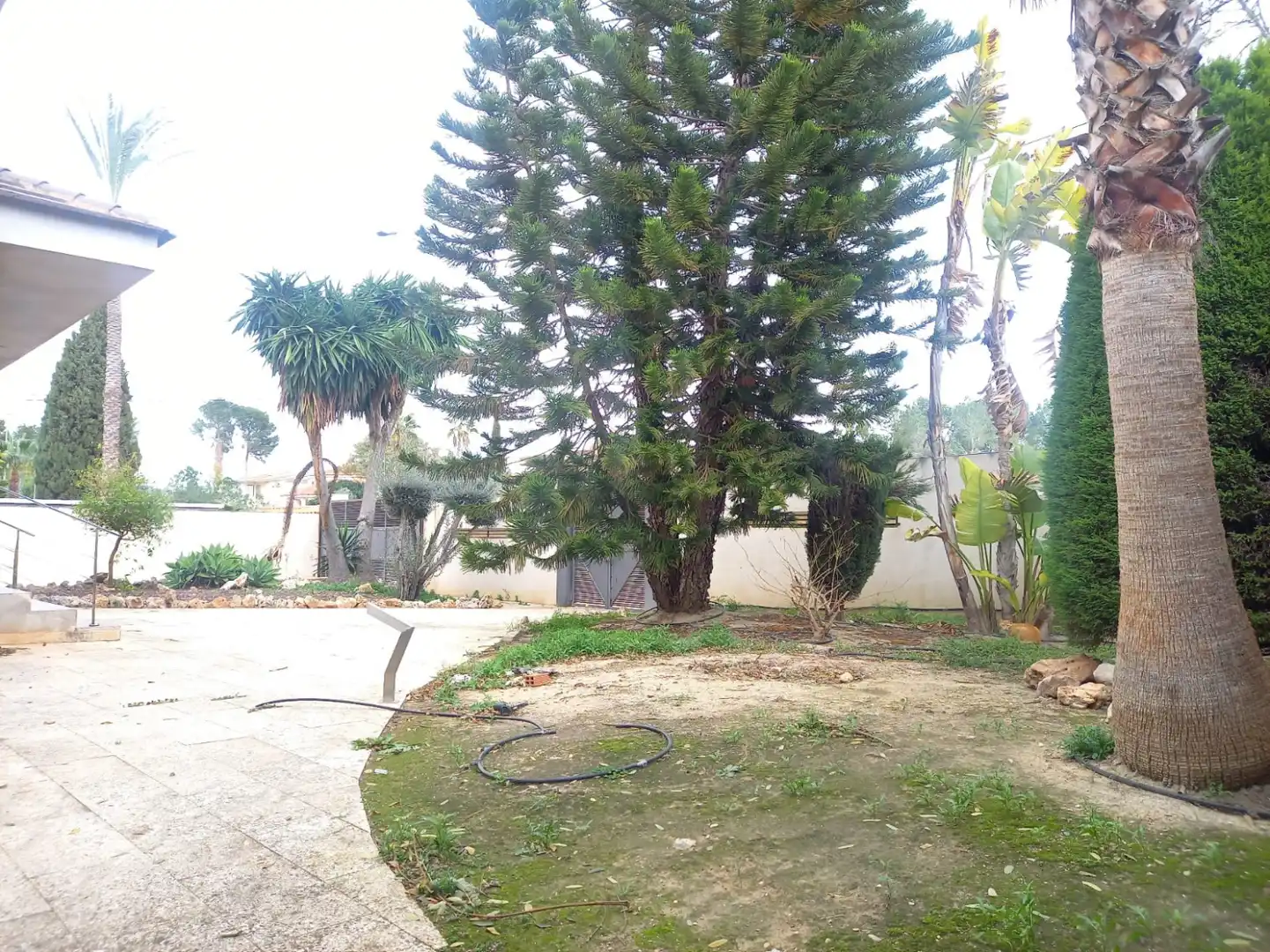 Houses for sale in Molina de Segura
