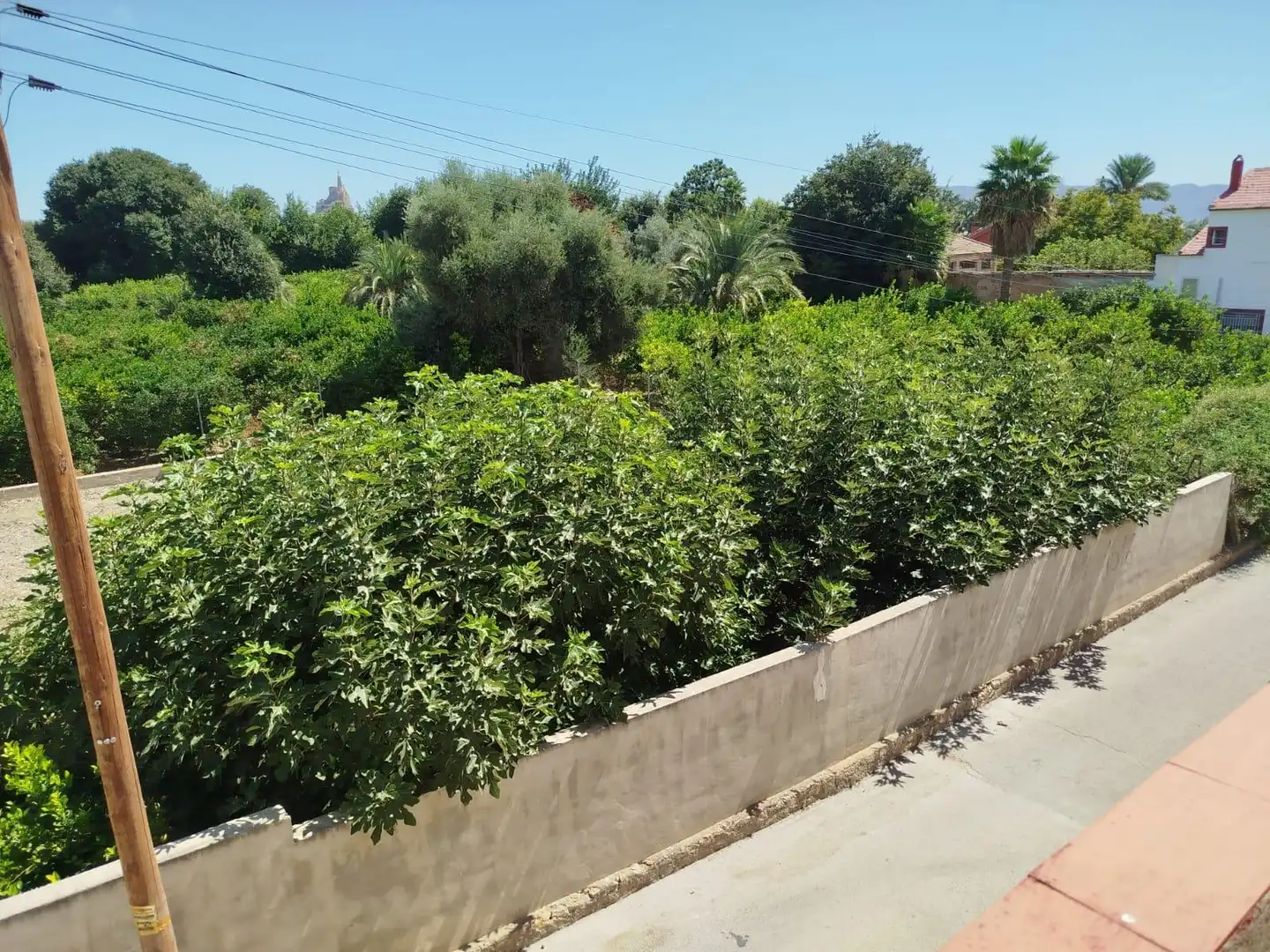 Houses for sale in Murcia  with Private garden and Terrace