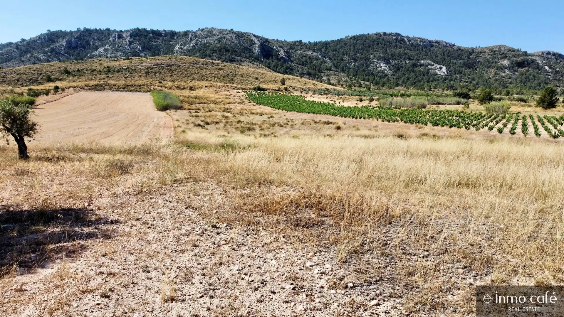 Terreno rustico in vendita a Parcela  CABEZO POLI., imagen 11