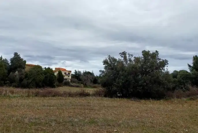 Finca rústica en venda en Castellón de la Plana / Castelló de la Plana