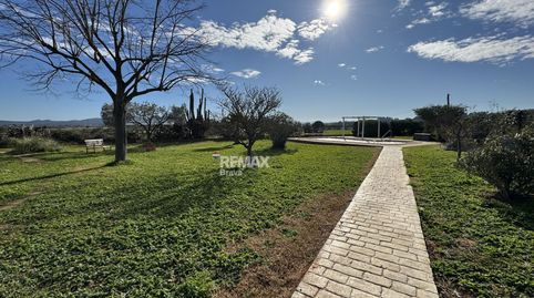 Foto 4 von Haus oder Chalet zum Verkauf in Camino Cami del Mas Feliu, La Tallada d'Empordà, Girona