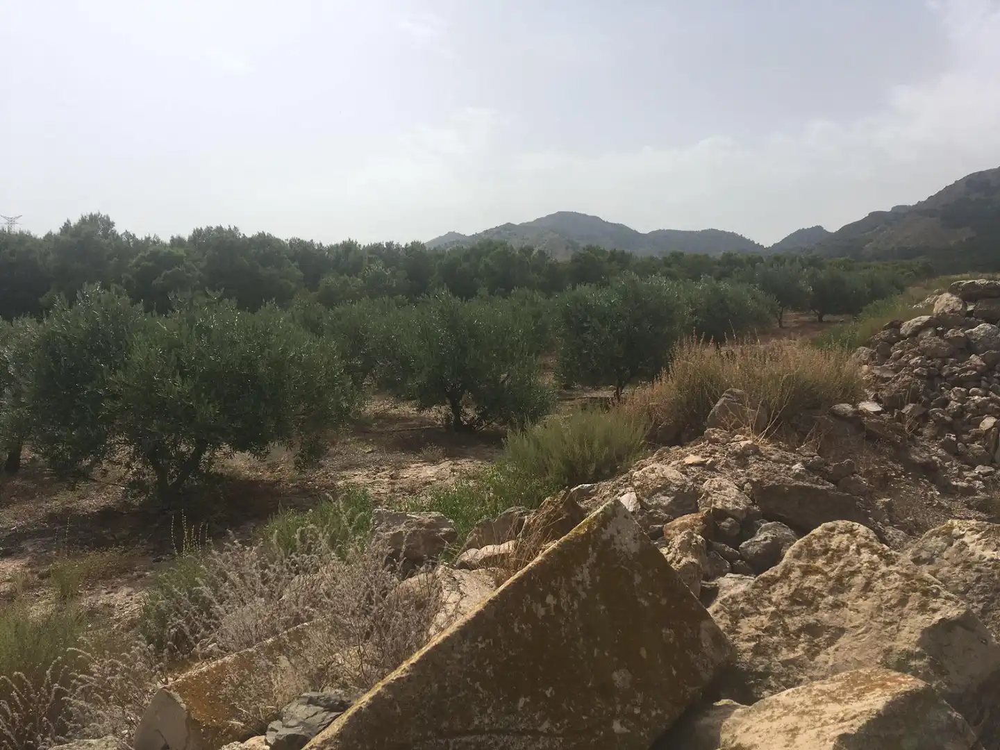 Country house zum Verkauf in Lorca mit Privatgarten und Schwimmbad