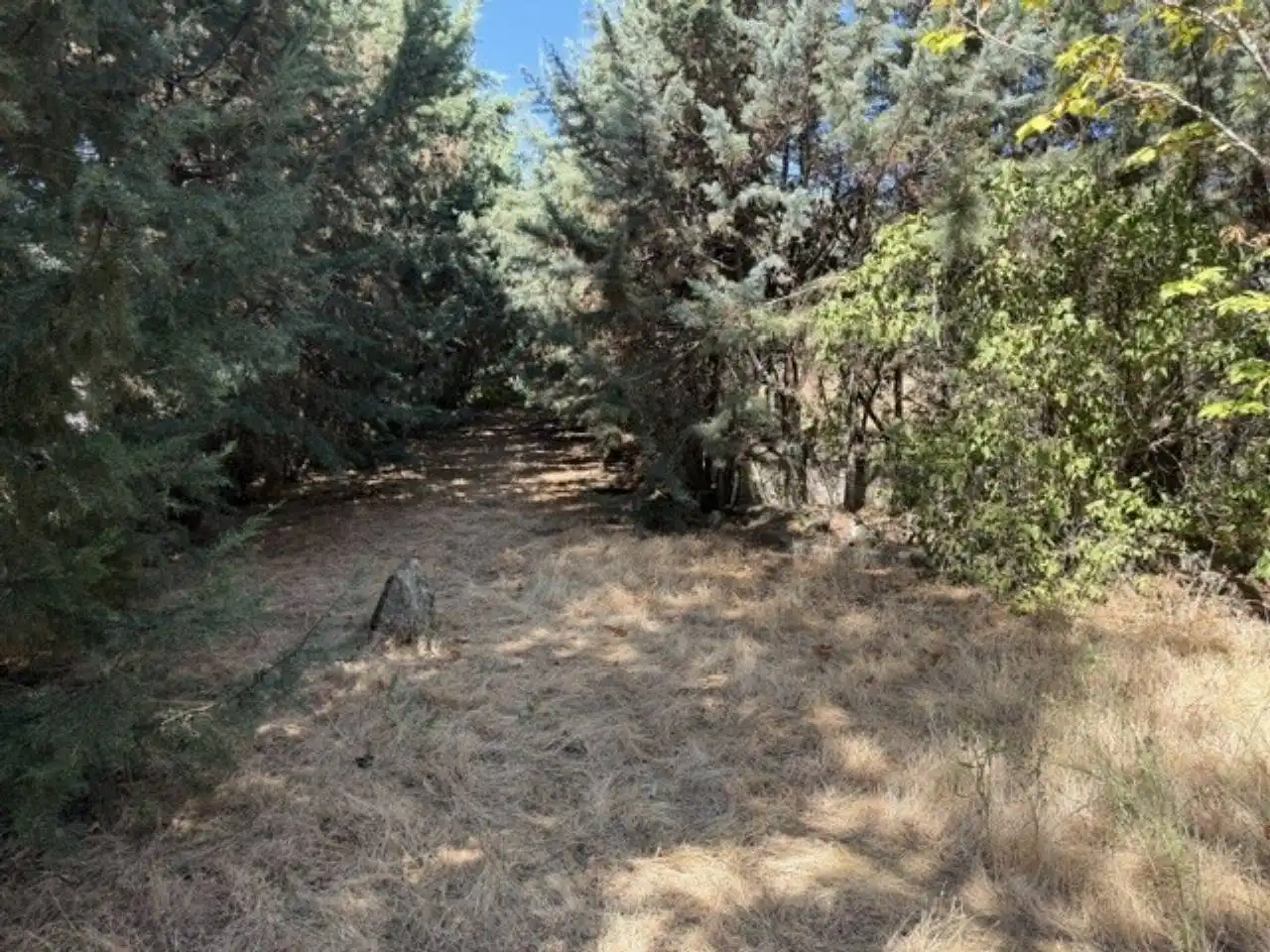 House with garden for sale in Lozoyuela-navas-sieteiglesias, imagen 76