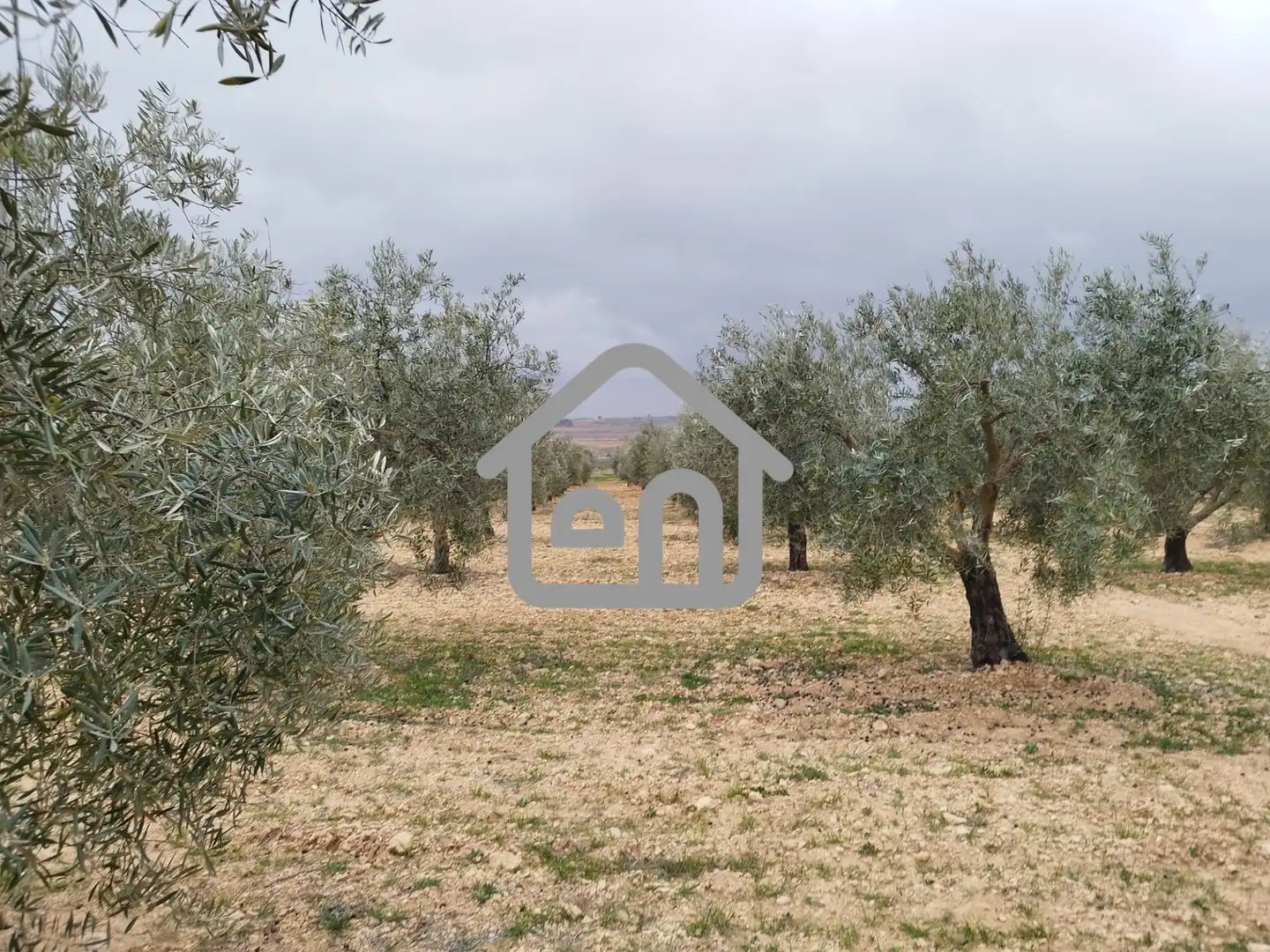 Rural land for sale in Requena, imagen 10