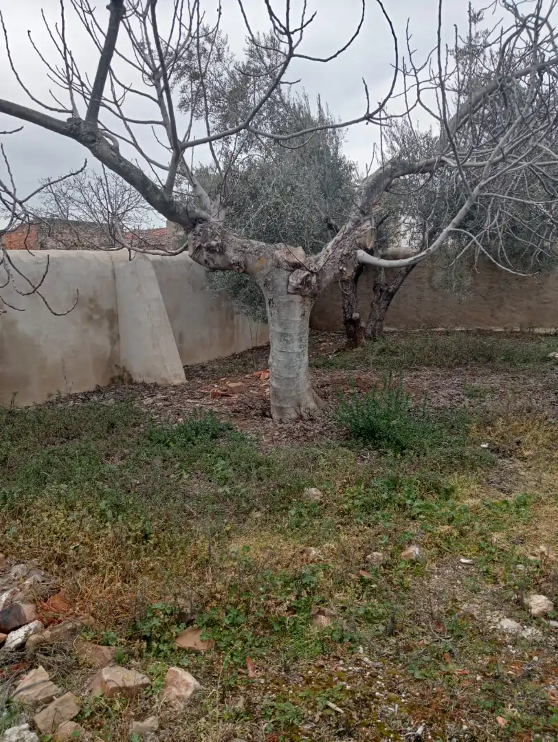 Chalet con terraza en venta en Calle Lentiscar, imagen 48