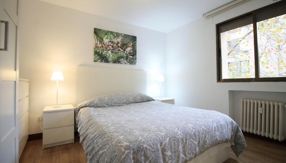 Estudio de alquiler en Nueva España - Imagen 2