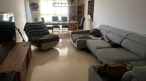 Photo 3 of Flat for sale in Turís, Valencia