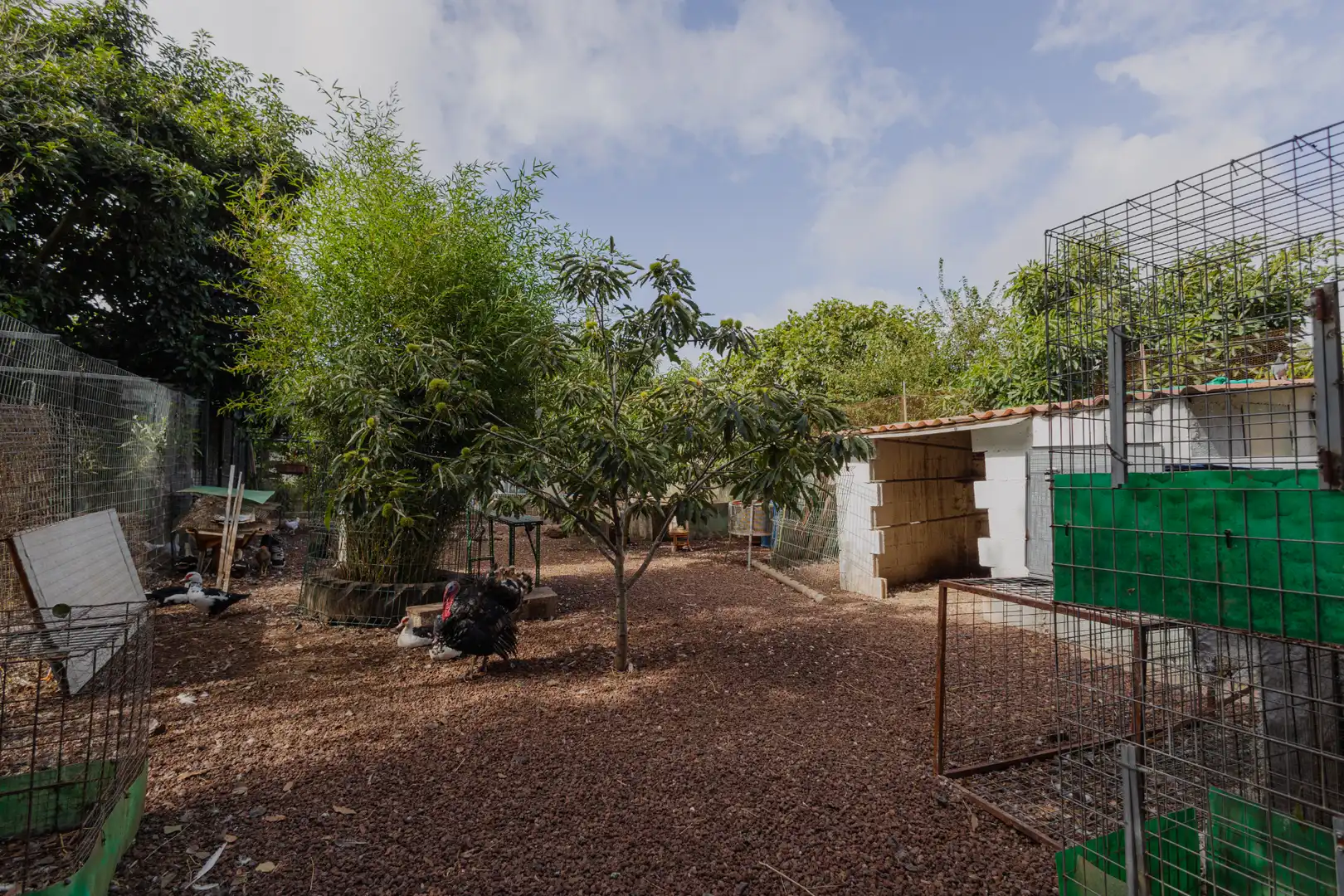 Jardí de Casa o xalet en venda en Guamasa - El Ortigal - Los Rodeos