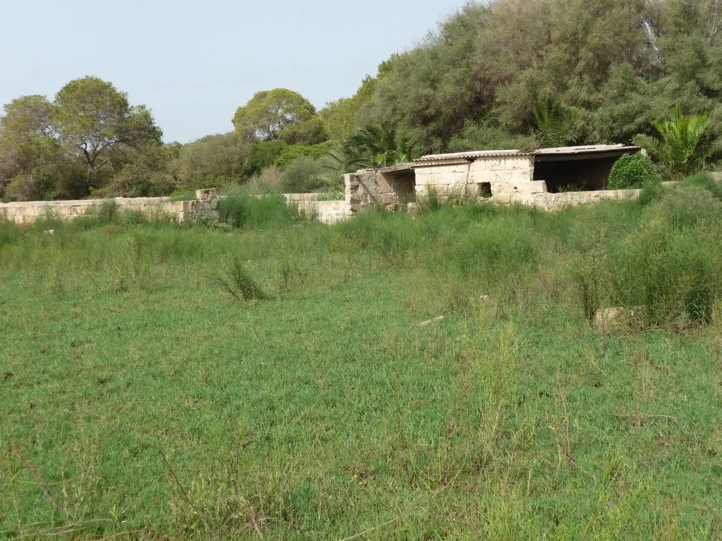 Finca rústica en venda a Son Ferriol