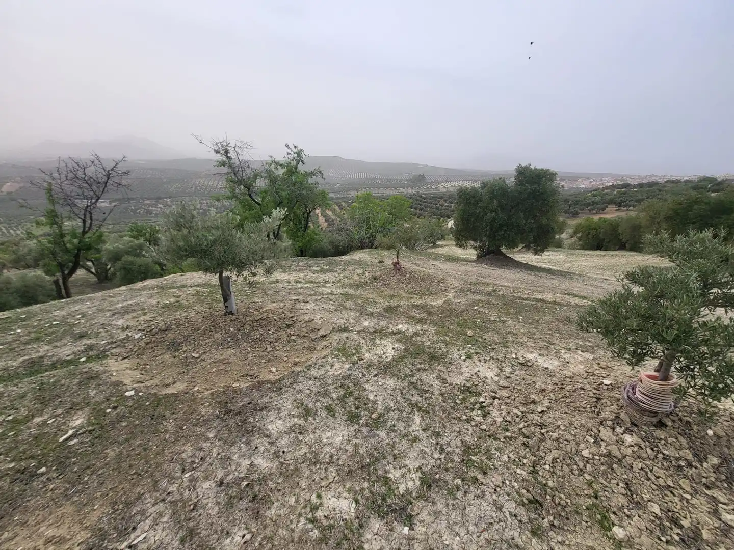 Rustikales Grundstück zum Verkauf in Güevéjar, imagen 16