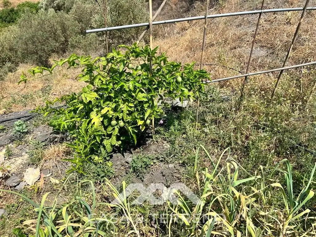 Residential for sale in Torrox