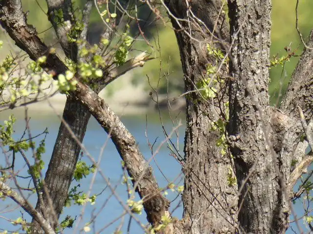 Jardín de Finca rústica en venta en Xerta