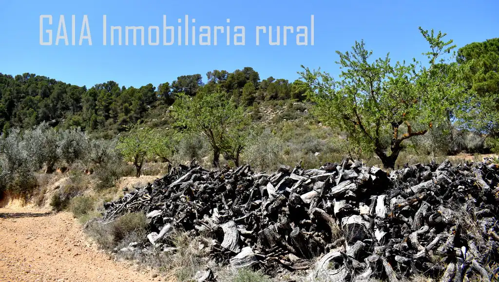Finca rústica en venta en Mazaleón