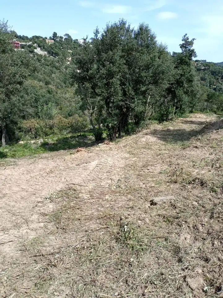 Terrenos y solares en venta en Lloret Residencial - Montlloret, imagen 4