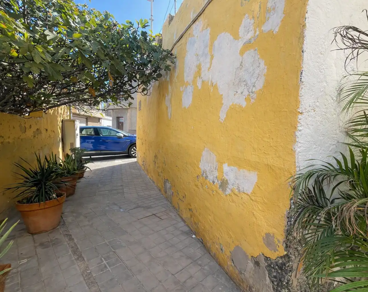 Terrenos y solares en venta en Alonso de Matos, imagen 3