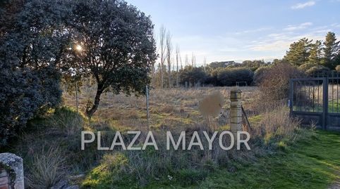 4422 PARCELA RUSTICA EN URBANIZACION LOS PERALES, imatge 2