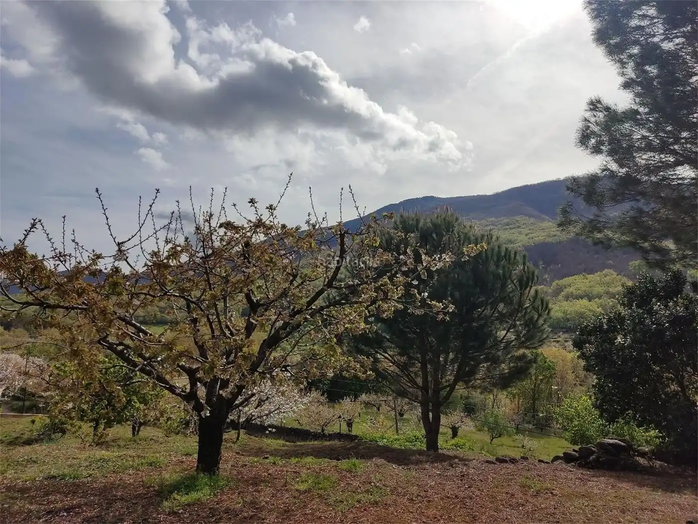 House for sale in Carretera de Barco 1, imagen 10