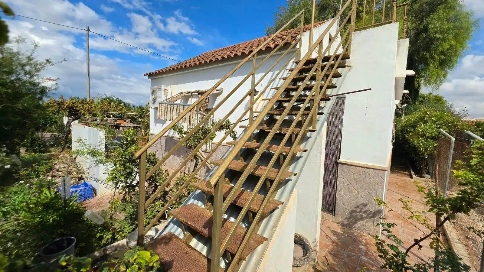 Vista exterior de Finca rústica en venta en Ceutí
