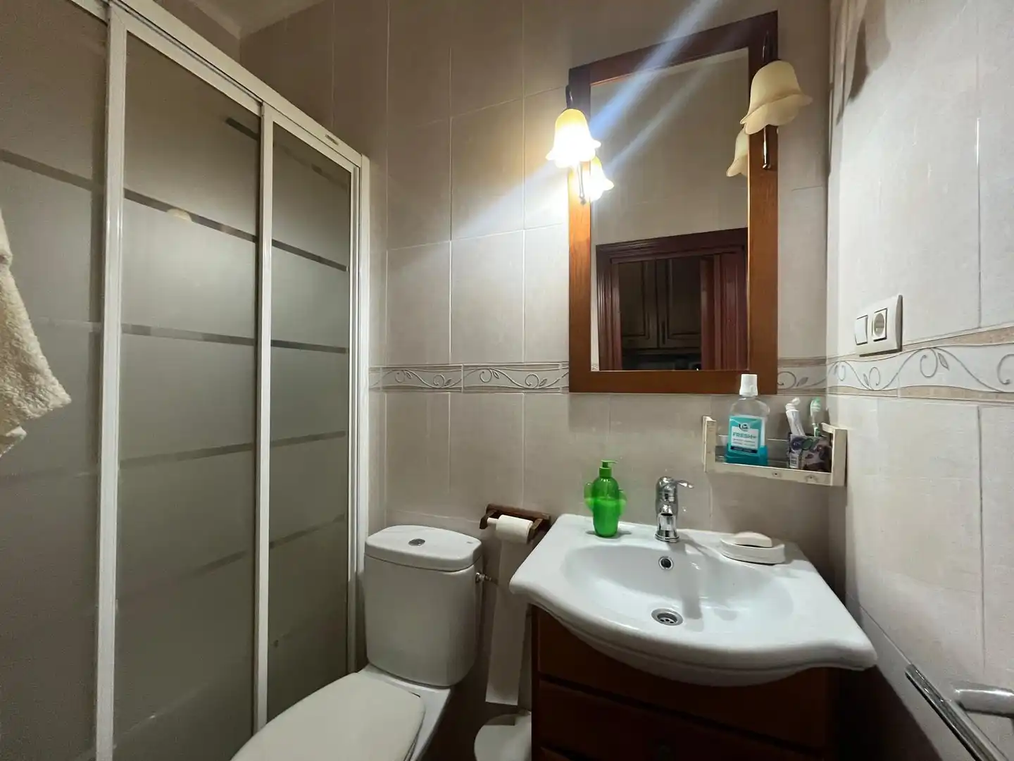 Baño de Casa o chalet en venta en Manzanares con Jardín privado, Trastero y Amueblado