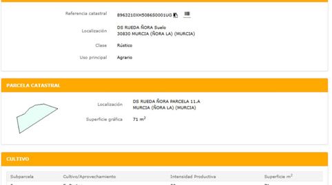 Foto 4 de Terreno en venta en Avenida Jerónimos, La Ñora, Murcia Capital