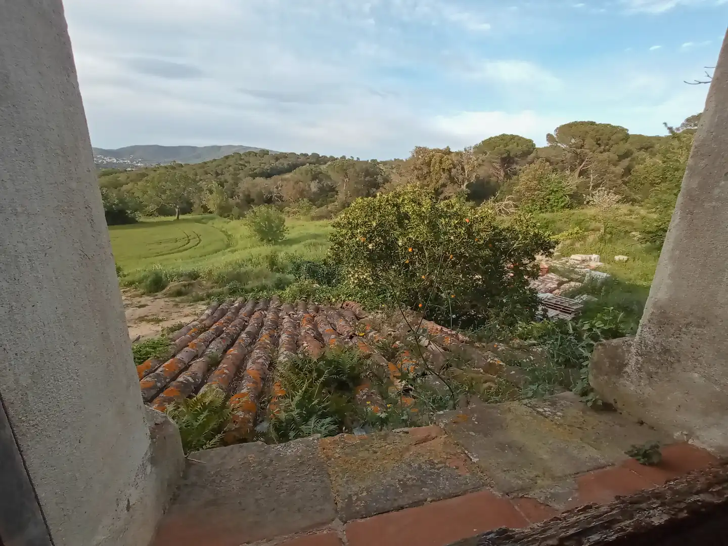 Landhaus mit Garten zum Verkauf in Carrer Olivera 25, imagen 33