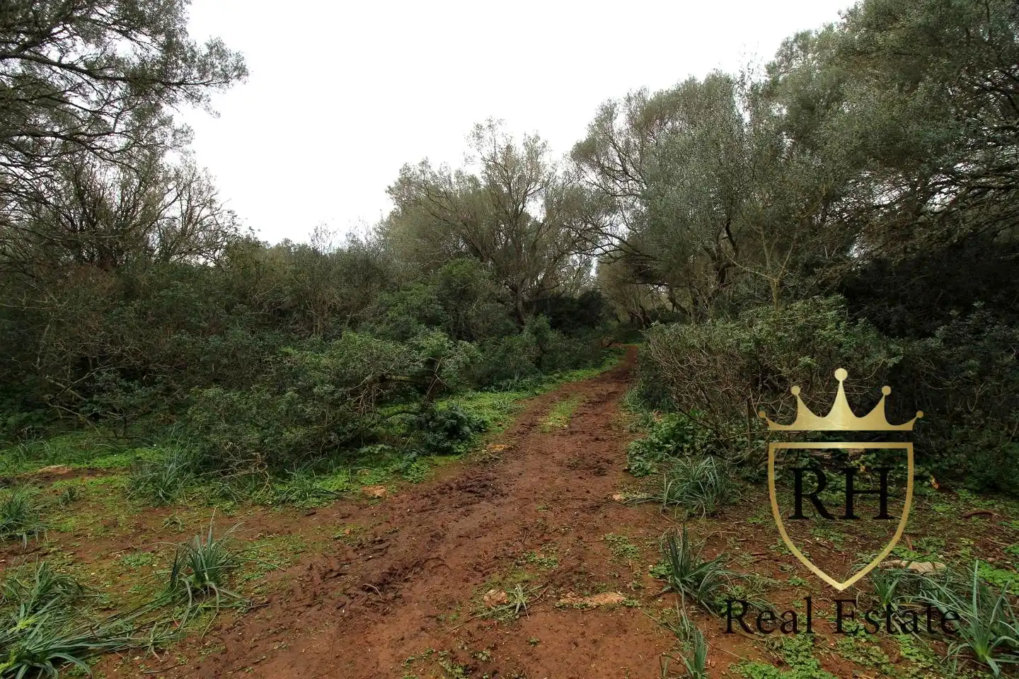 Lands and plots for sale in POLIGONO 49 PARCELA 3, imagen 8