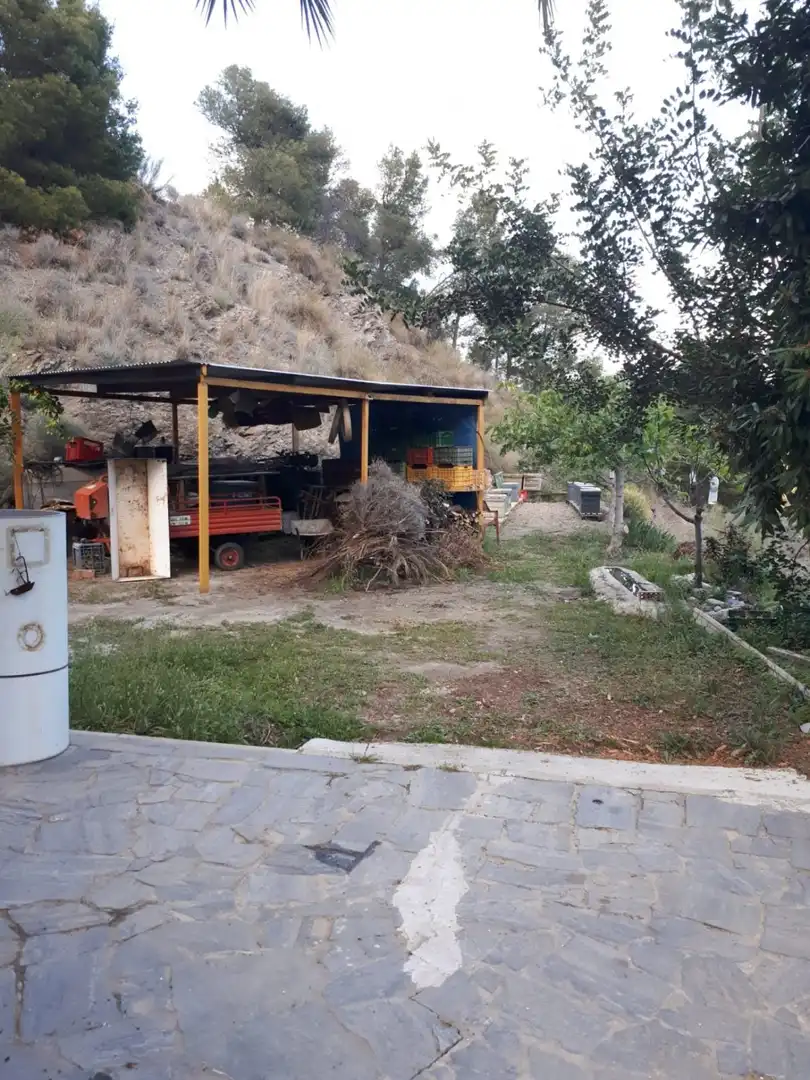 Vista exterior de Finca rústica en venta en Purchena con Jardín privado, Trastero y Amueblado