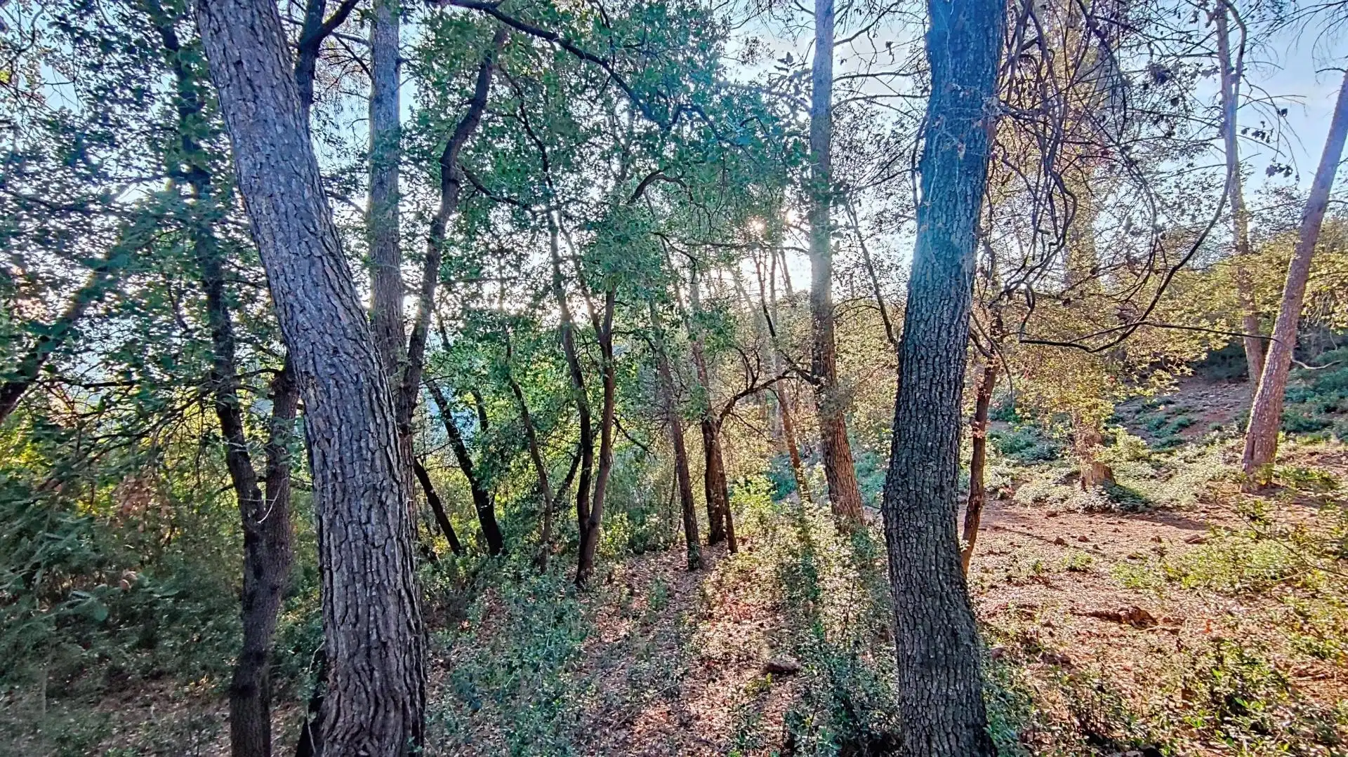 Terreno residencial en venta en Molins de Rei, imagen 14