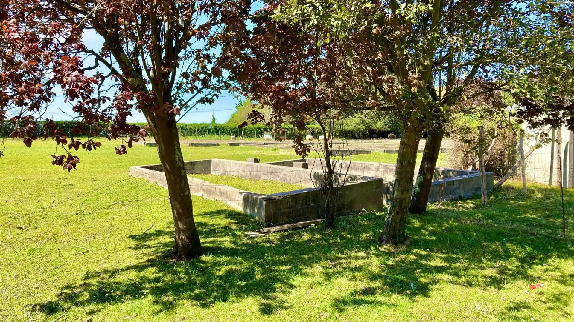 Terreny rústic en venda a Gorliz, imagen 20