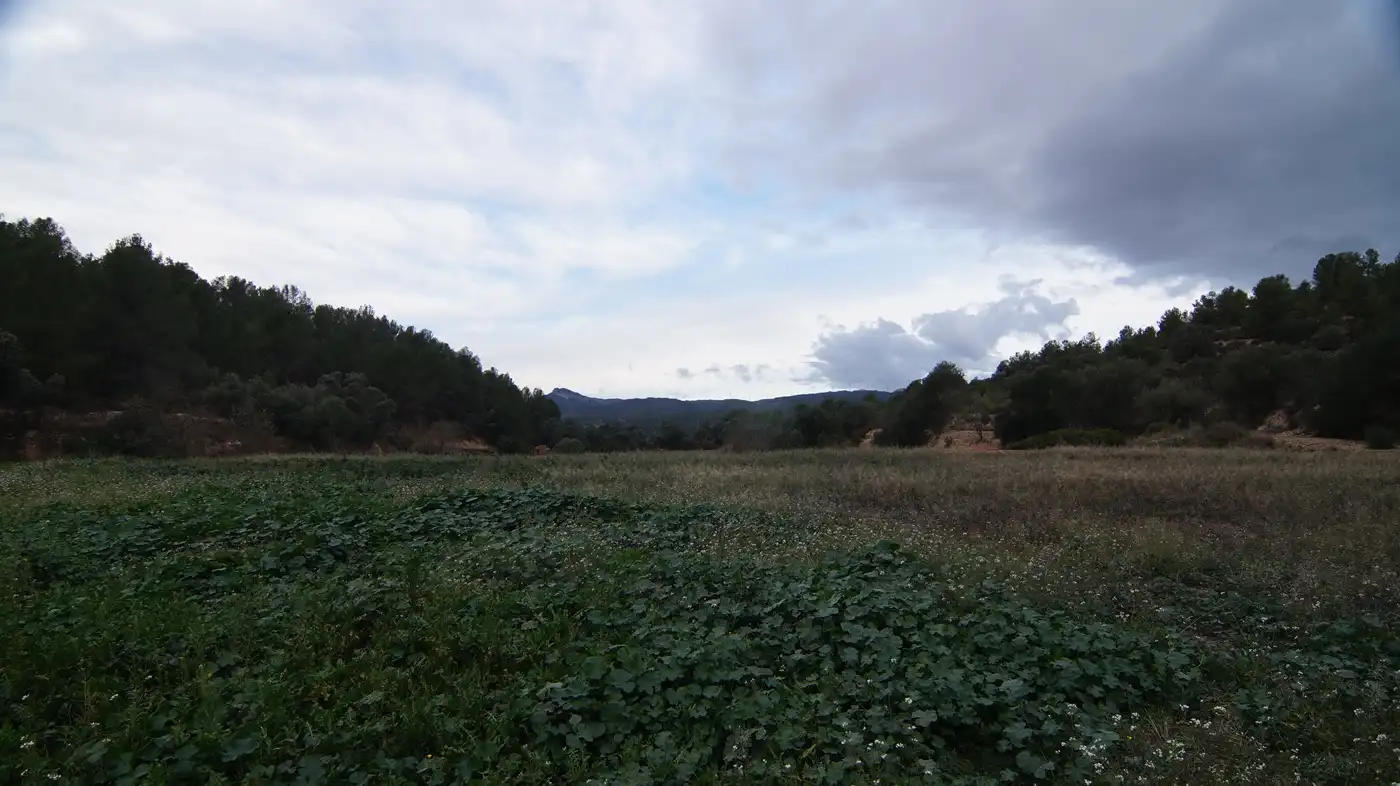 Terreno en venta en Móra la Nova