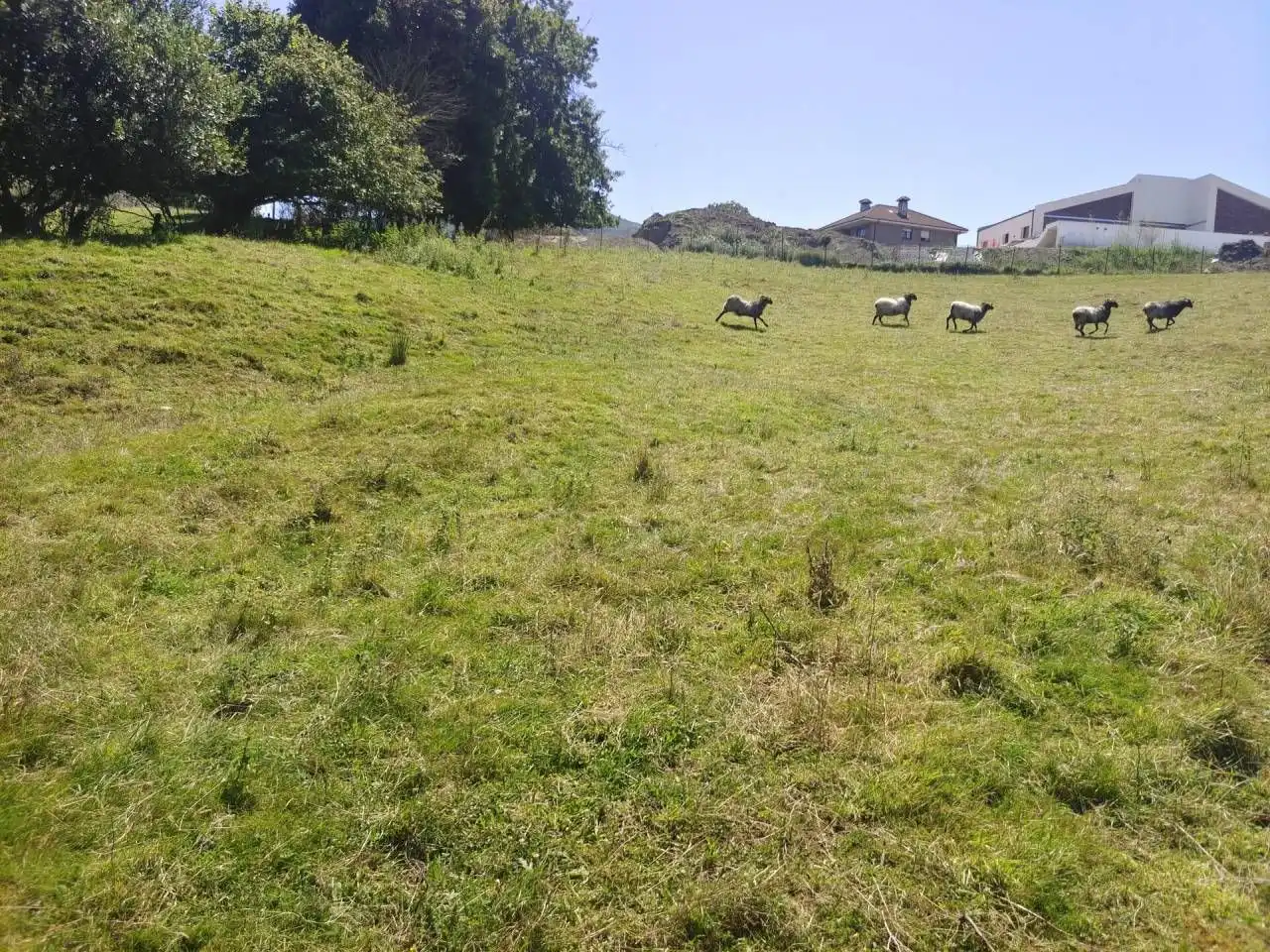 Terrain résidentiel à vendre à Villaescusa (Cantabria), imagen 6
