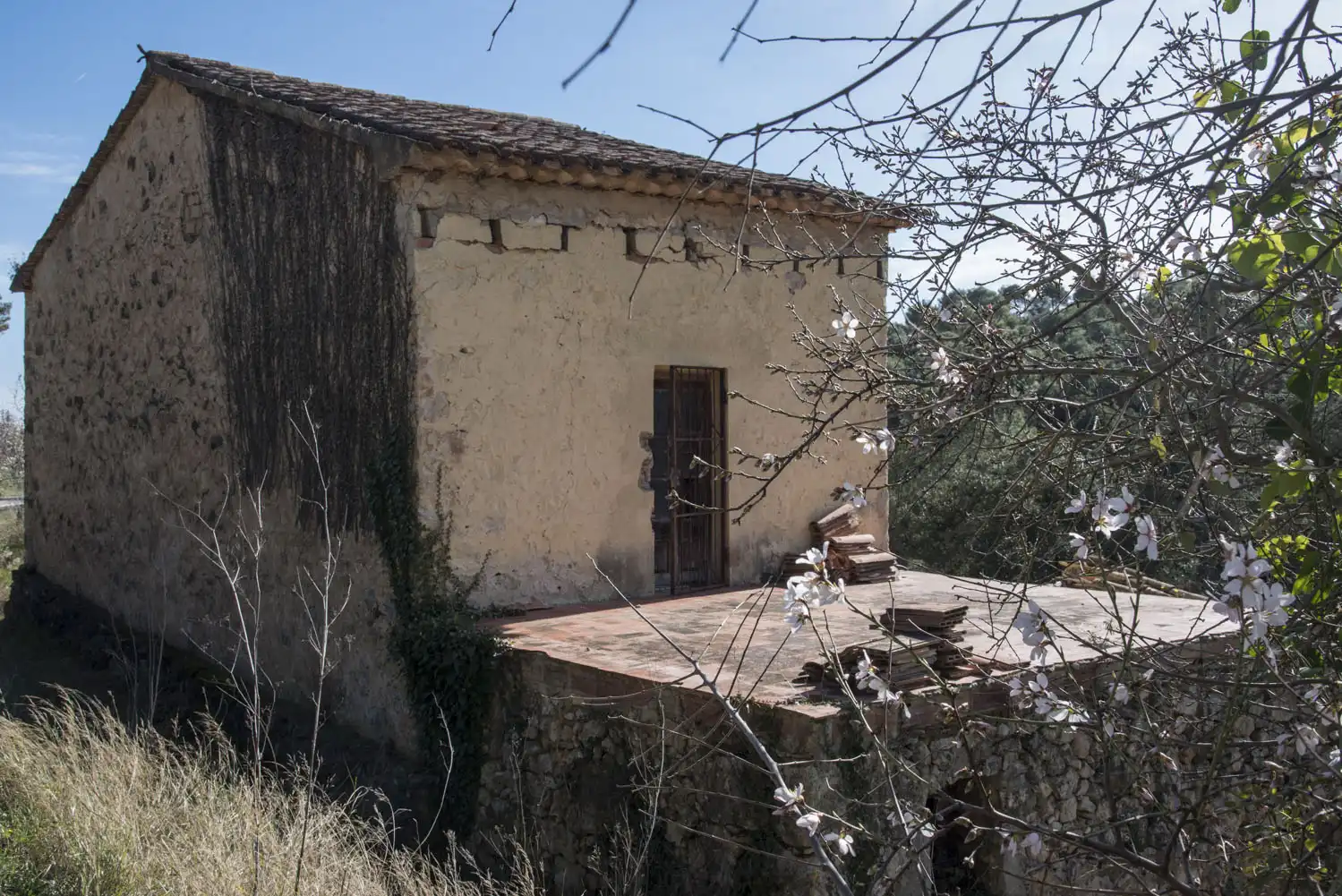 Vista exterior de Finca rústica en venda en Aiguamúrcia