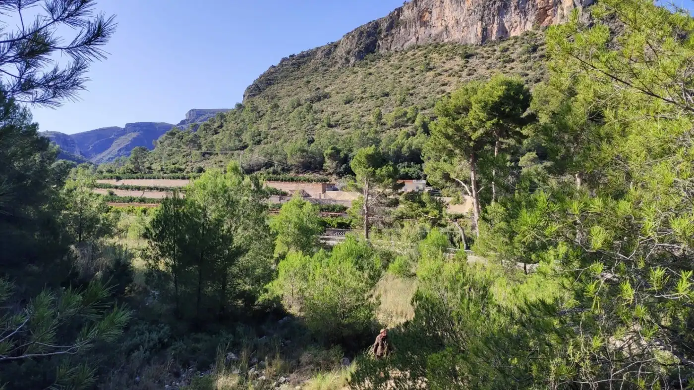 Vista exterior de Finca rústica en venta en L'Atzúbia