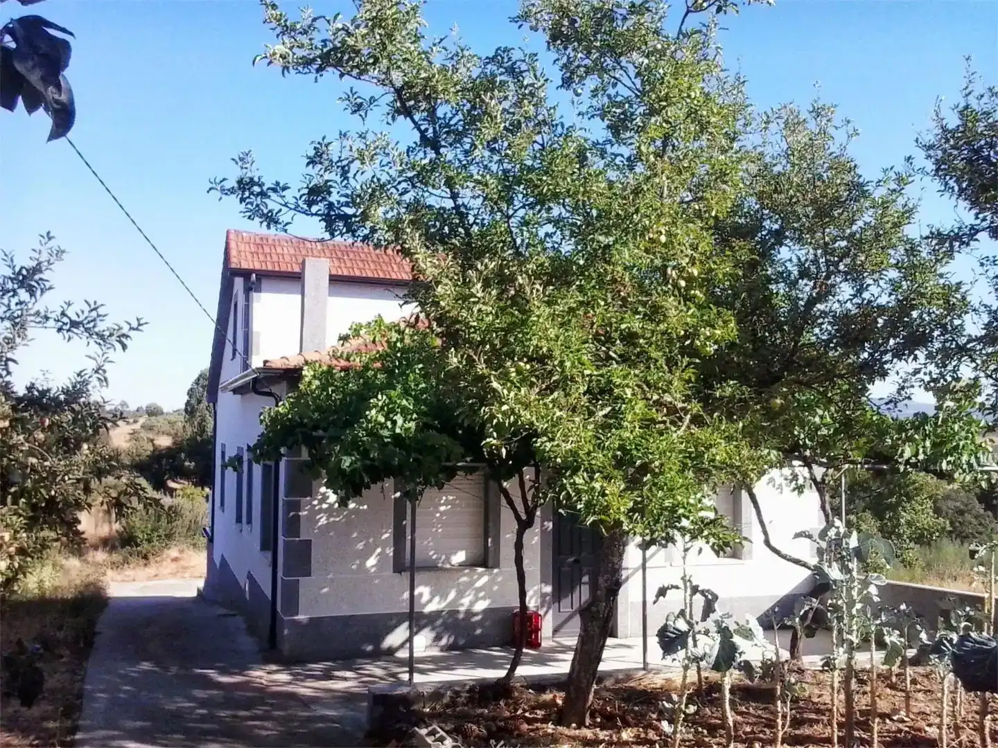Vista exterior de Finca rústica en venta en Vilardevós