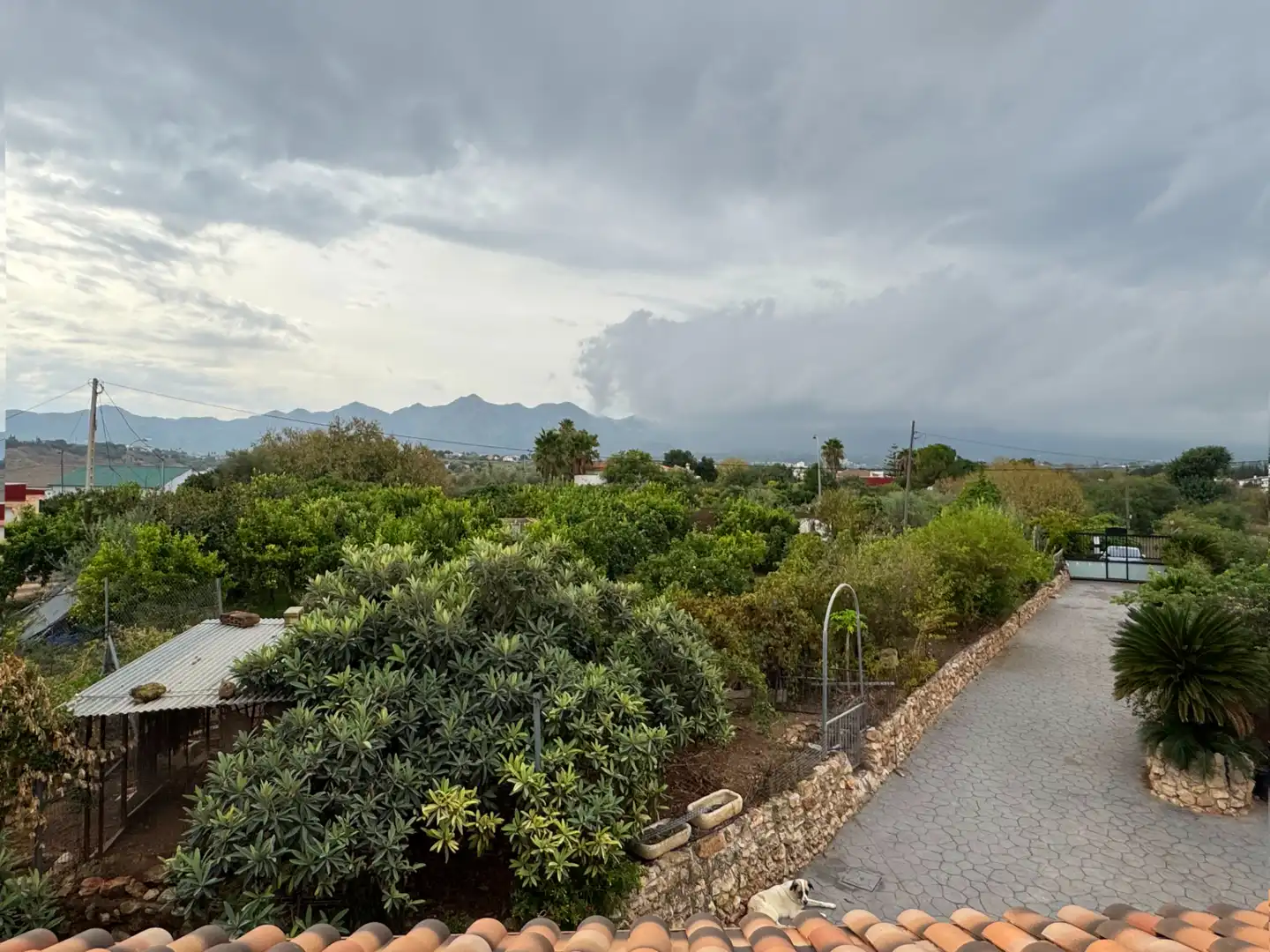 Landhaus mit Garten zum Verkauf in Alquería - Torrealquería, imagen 42