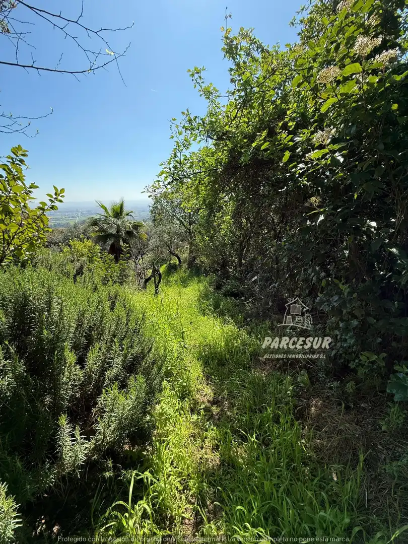 Finca rústica en venda en Córdoba amb Jardí privat i Traster