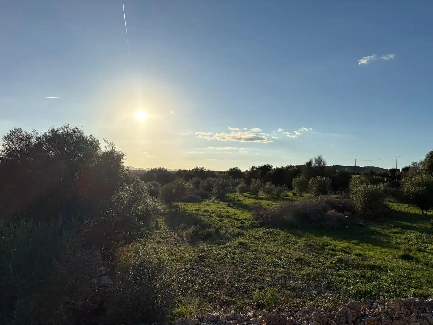 Rural land for sale in Sant Llorenç des Cardassar, imagen 21