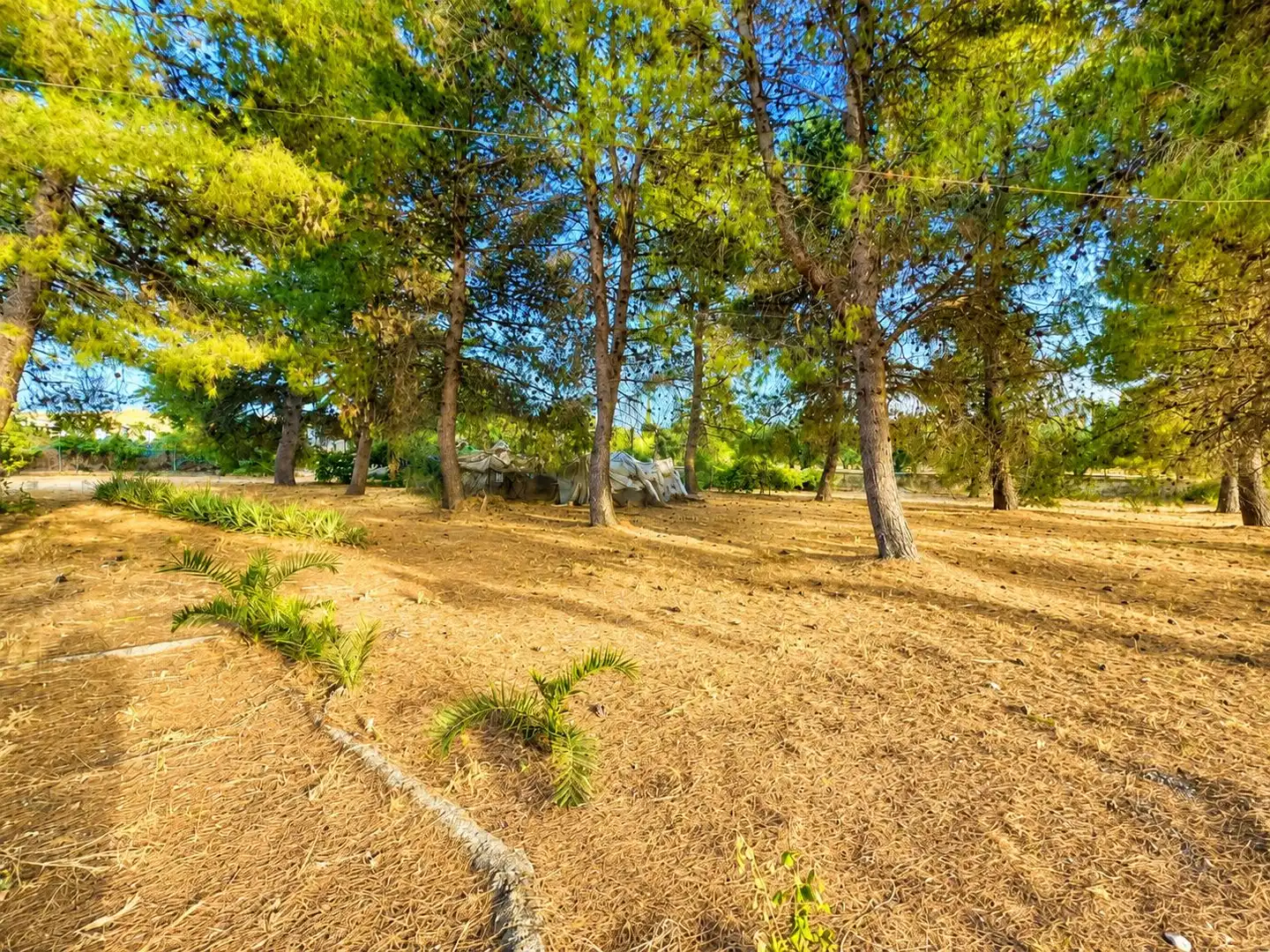 Country homes for sale in Cehegín  with Terrace and Swimming Pool