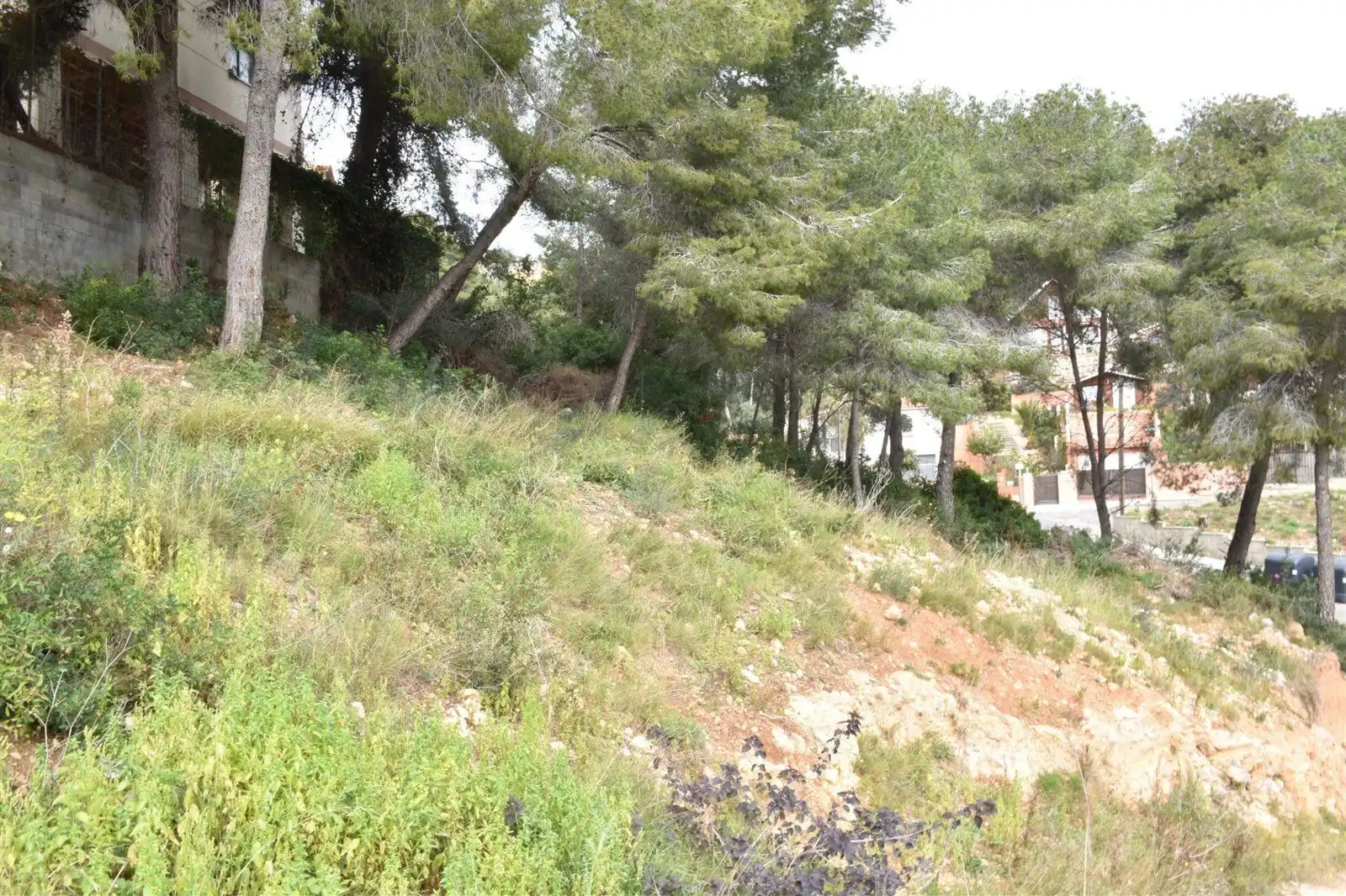 Rural land for sale in GLADIOL, imagen 3