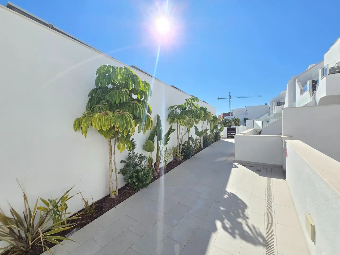 Terraza de Apartamento en venta en Pilar de la Horadada con Terraza y Amueblado