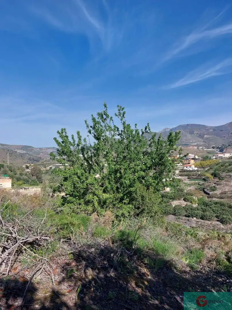 Casa rústica en venta en Molvízar, imagen 2