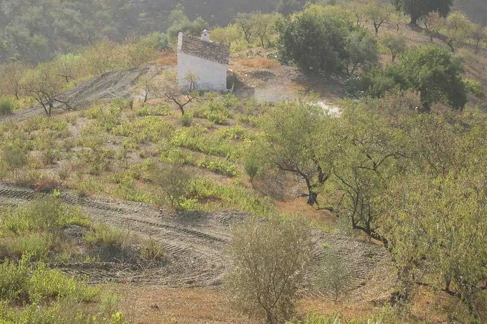 Terreno rústico en venta en Sedella, imagen 5