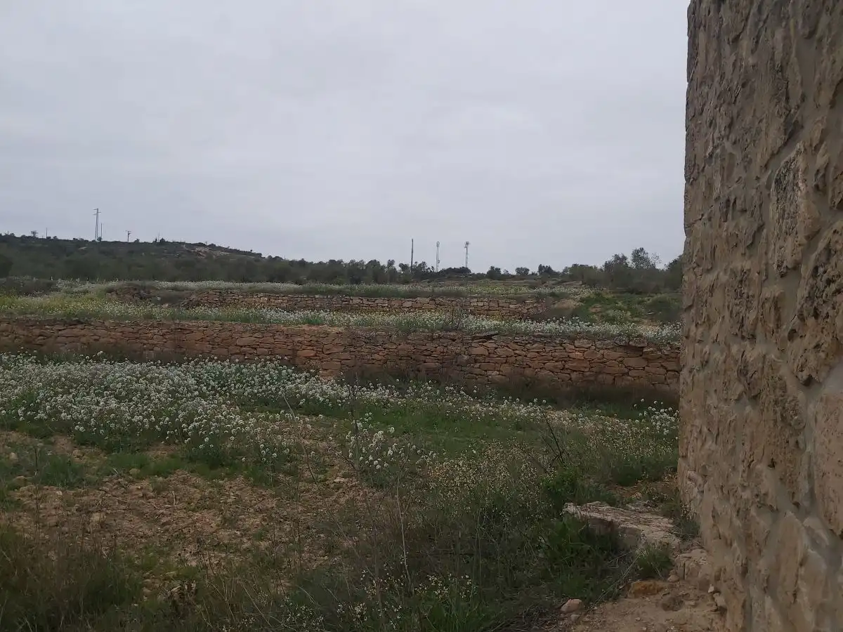 Finca rústica en venta en Maials