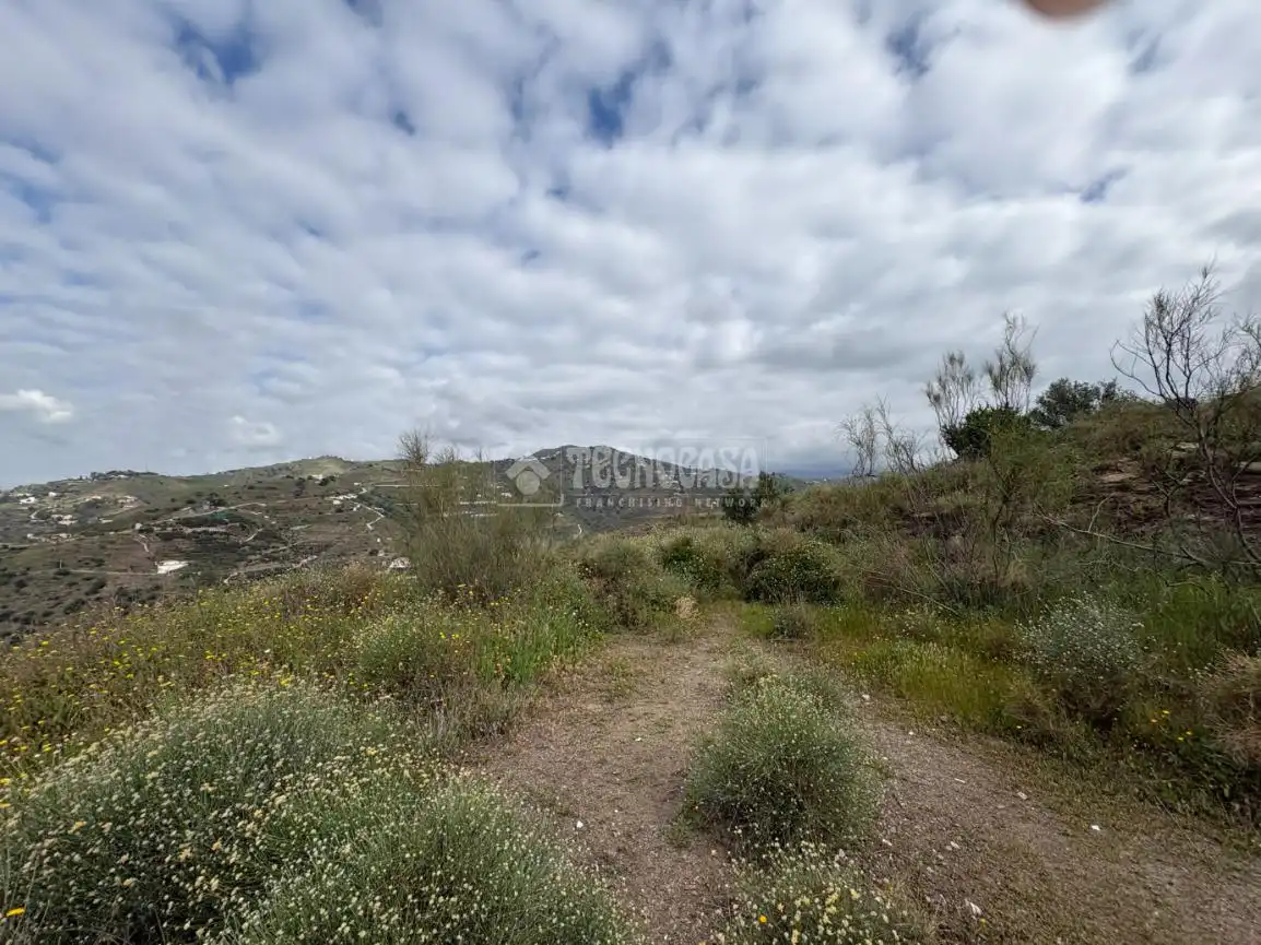 Terreny rústic en venda a Algarrobo pueblo, imagen 7