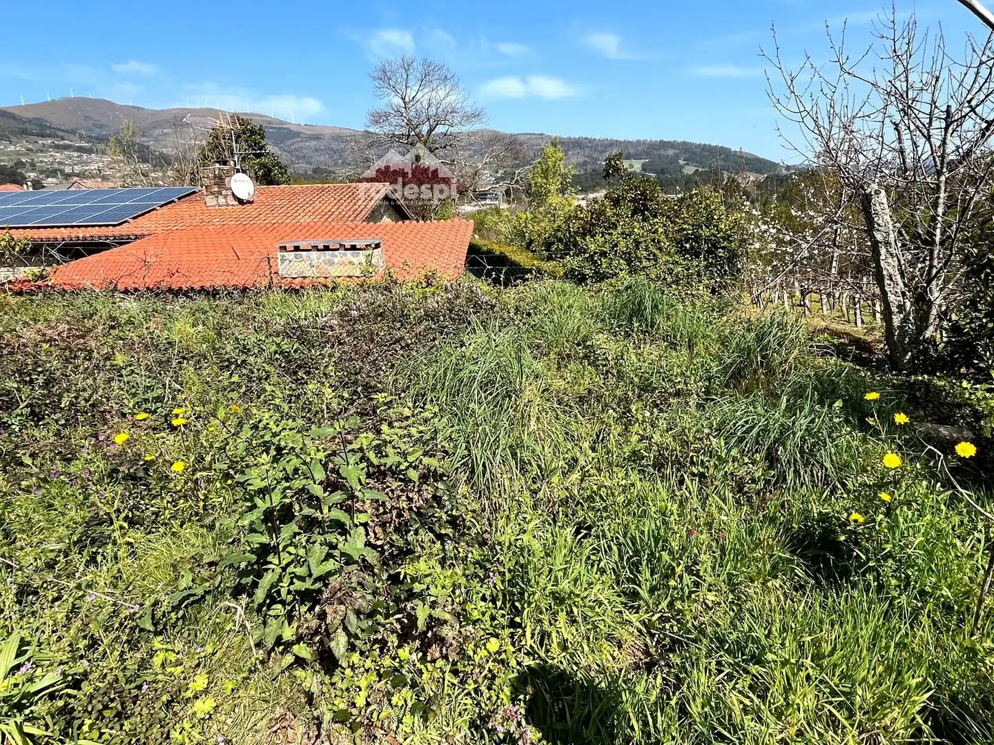 Rural land for sale in Arbo, imagen 8