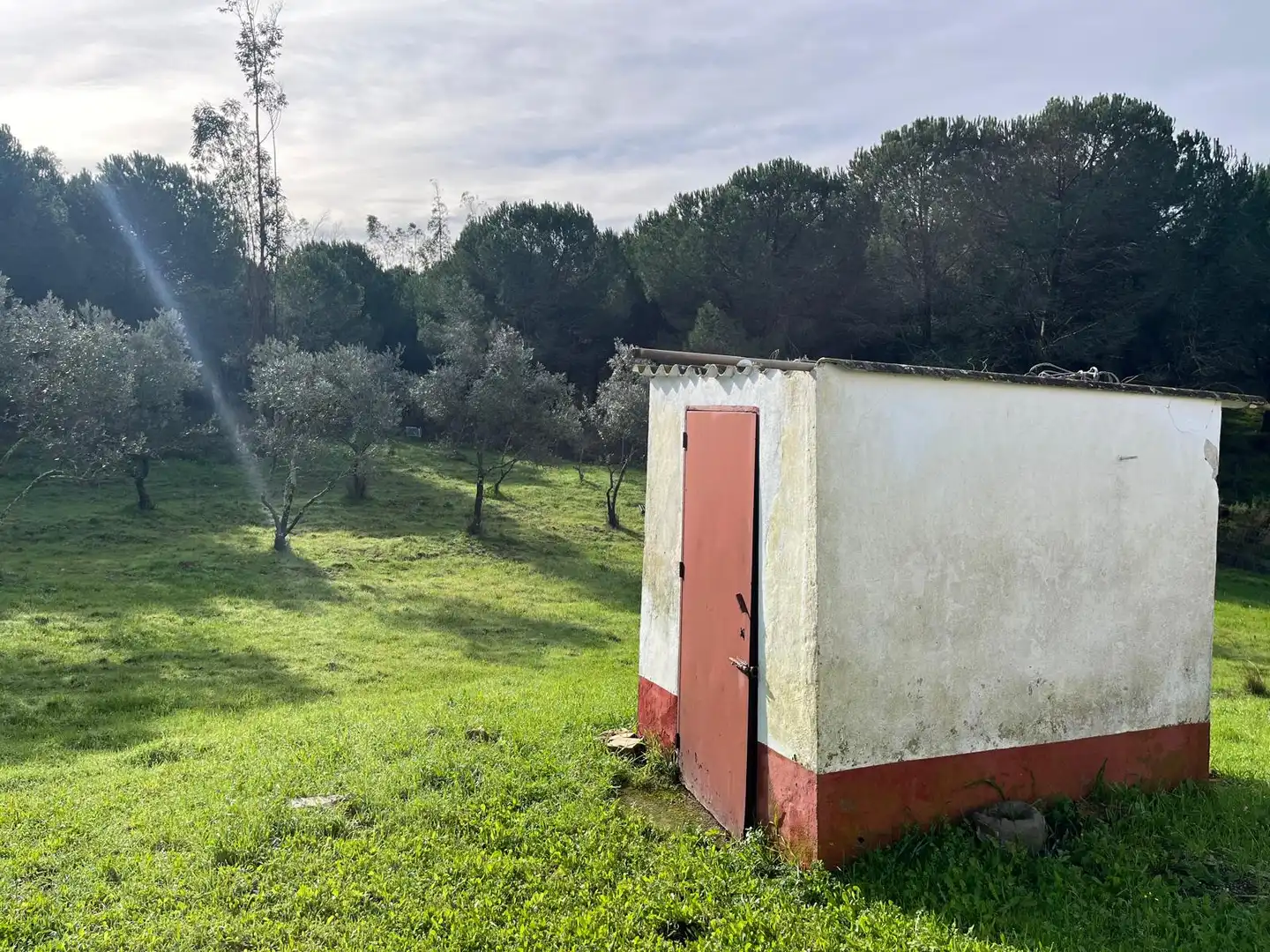 Chalet con jardín en venta en Diseminado Caballon 20, imagen 14