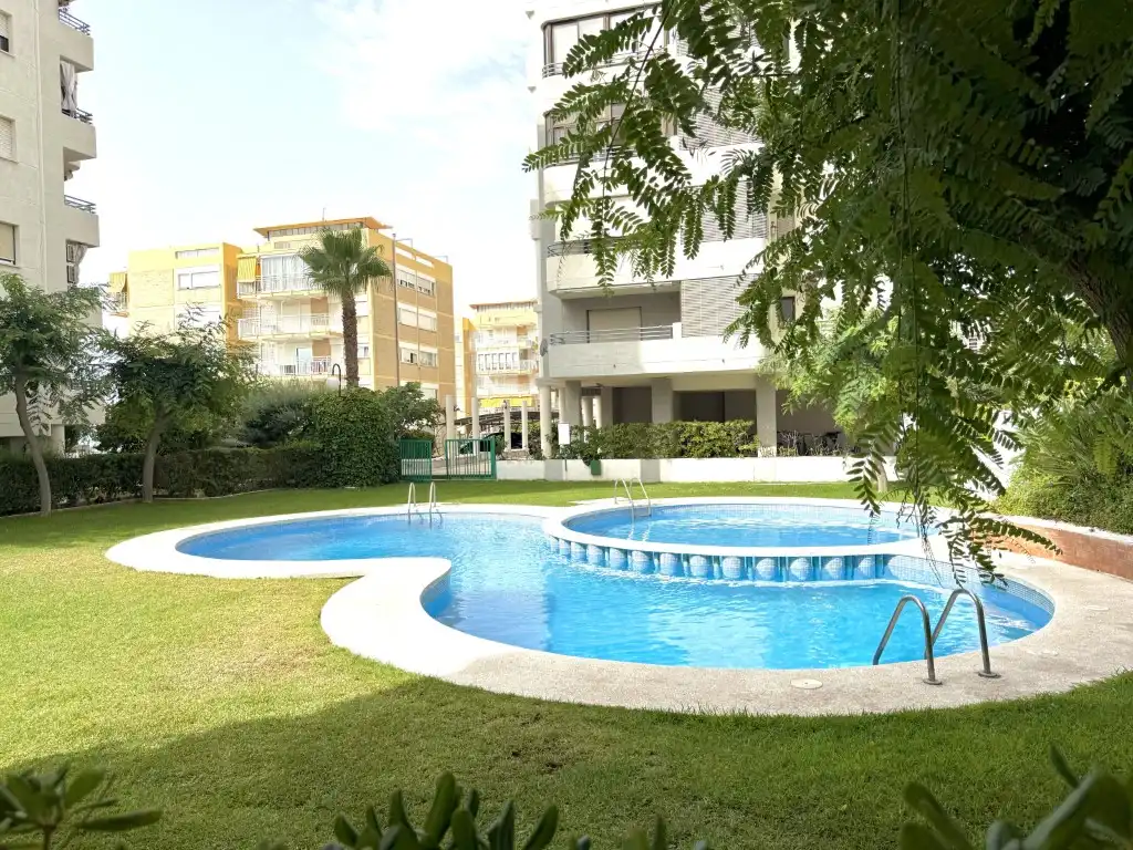 Swimming pool of Apartments for rent in Els Terrers